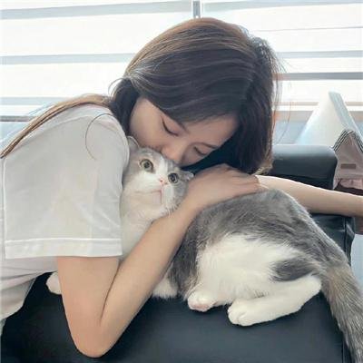 台灣紳士